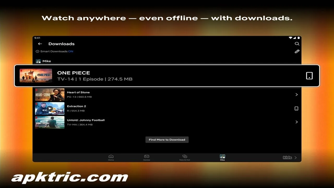 Netflix Mod Apk2